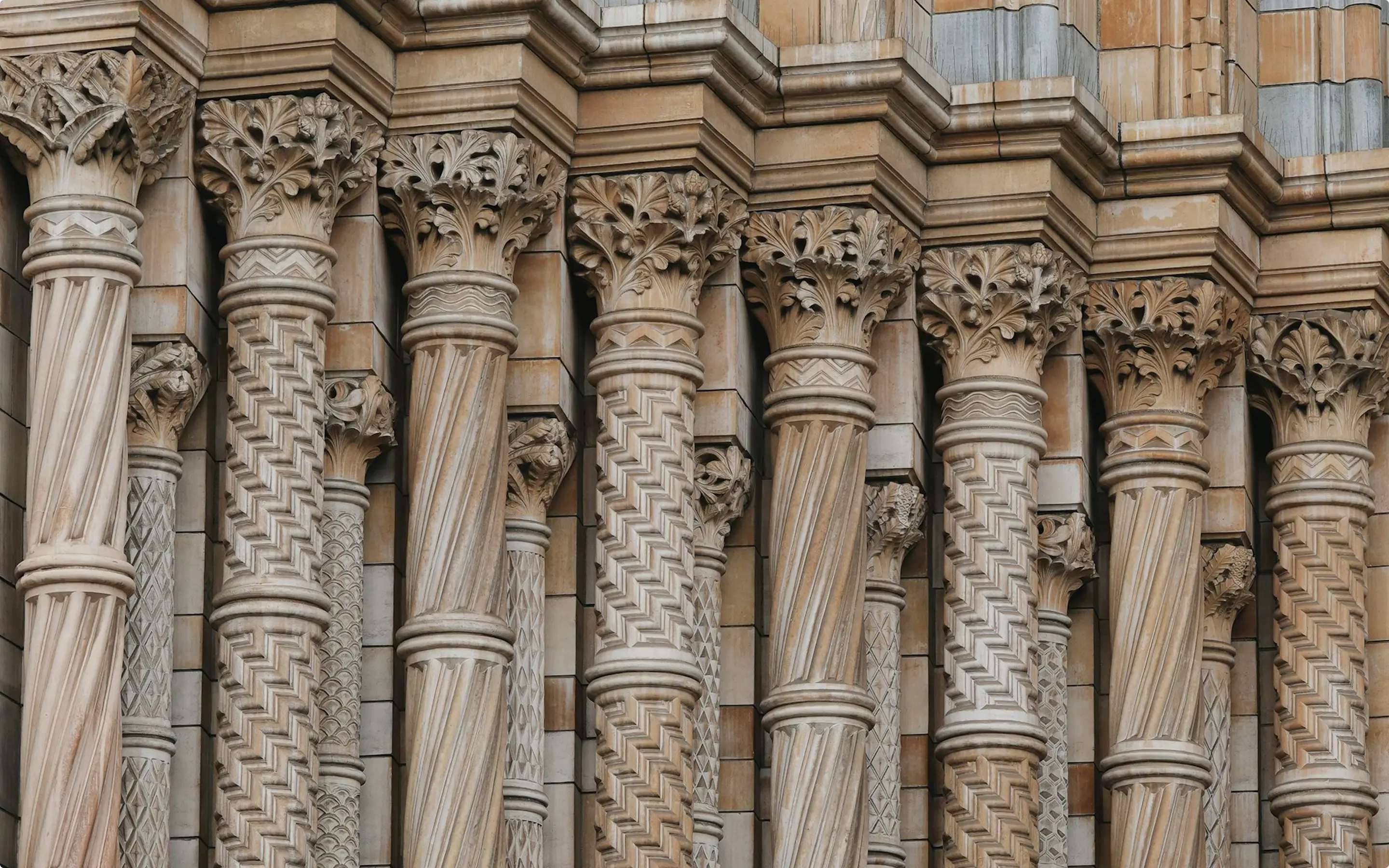 Explore.
Connect.
Expand.