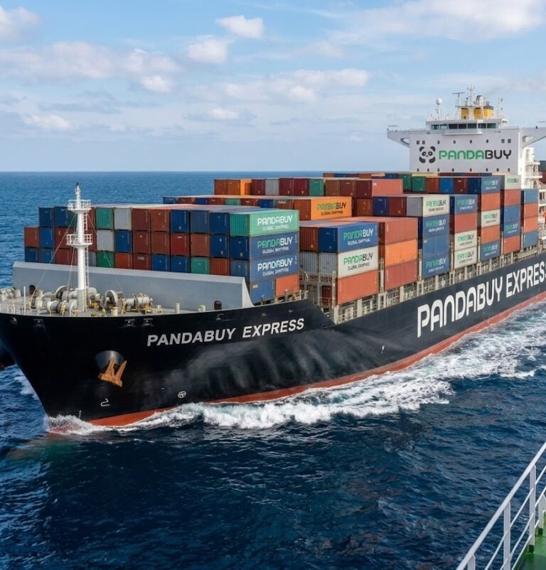 The Pandabuy Saga: The 2025 Guide and alternatives