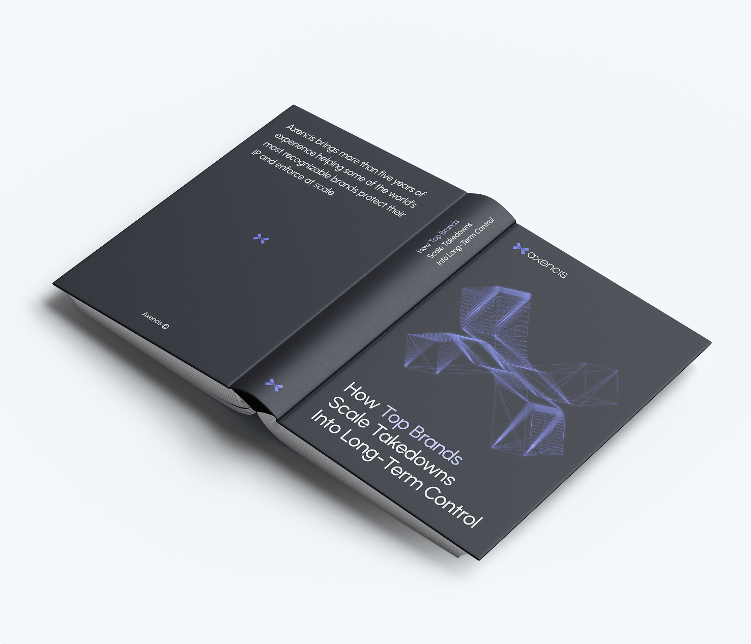 How Top Brands Scale Takedowns
Into Long-Term Control