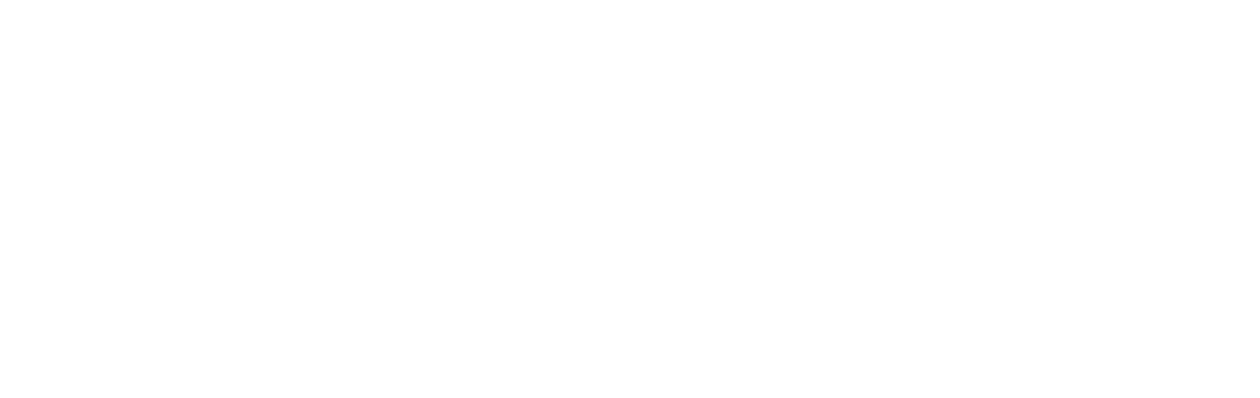 Brand Protection Solutions