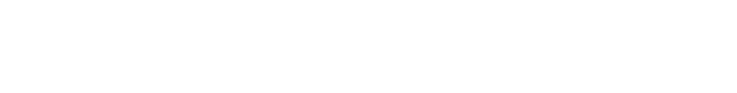 Brand Protection Solutions