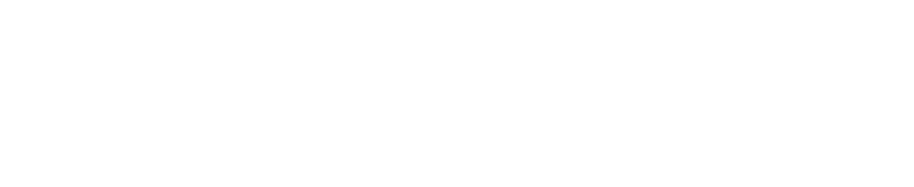 Brand Protection Solutions