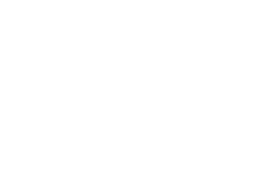 Brand Protection Solutions