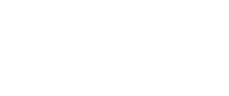 Brand Protection Solutions